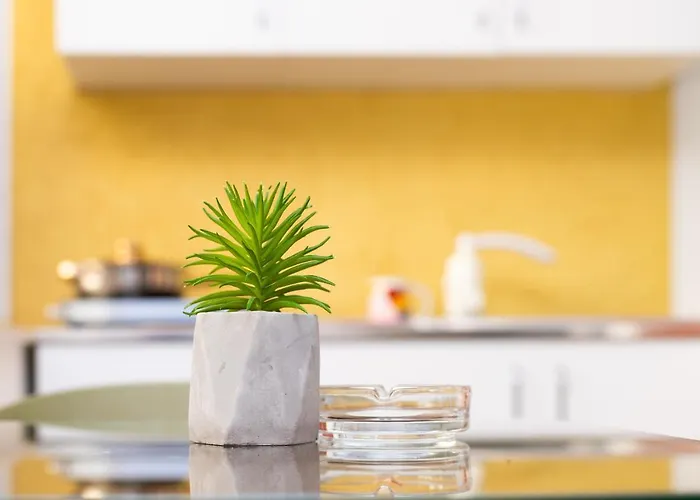 Apartament Modern *